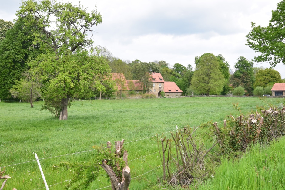 A ban on building houses is coming into effect. Plots of land will lose all their value.