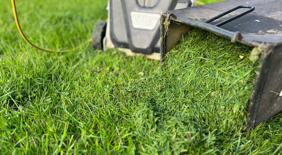 500 PLN boete voor gemaaid gras. Eigenaren van onroerend goed lopen mogelijk risico