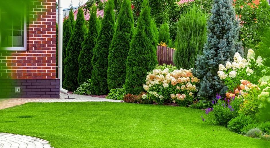 6,000 times more poisonous than cyanide grows in Polish gardens. There is no antidote