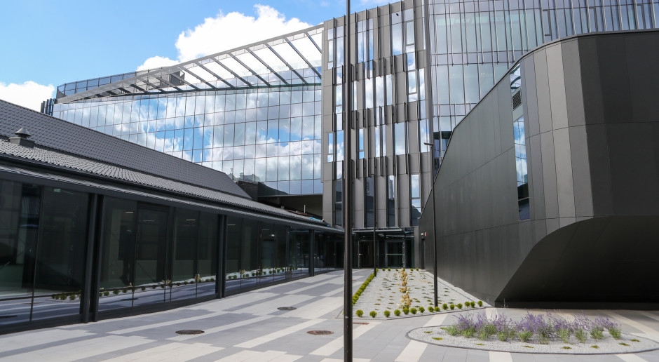 La psicología vuelve a ser un éxito en el proceso de selección de la Universidad de Lodz. 15 solicitantes se postulan para una plaza.