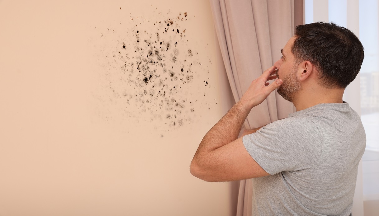 Defects in the property before the sale, does the purchase fall through?