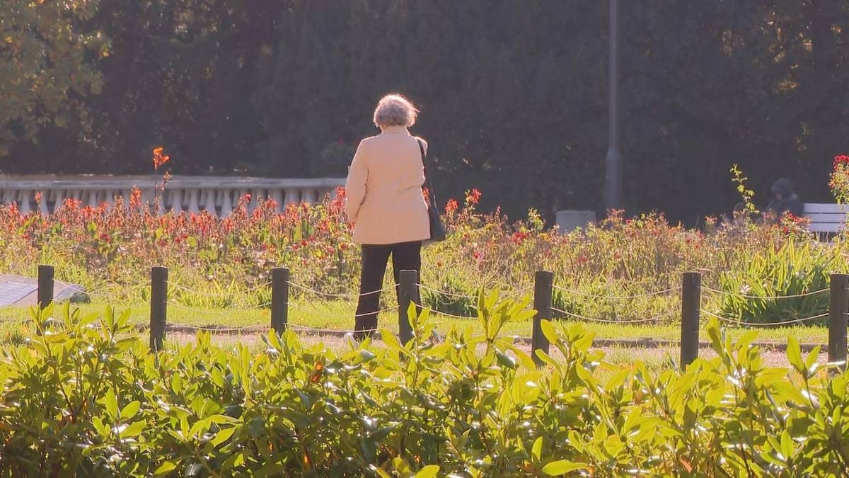 Grote veranderingen in de psyche van senioren. Een expert legt uit wat er in de hersenen gebeurt op oudere leeftijd