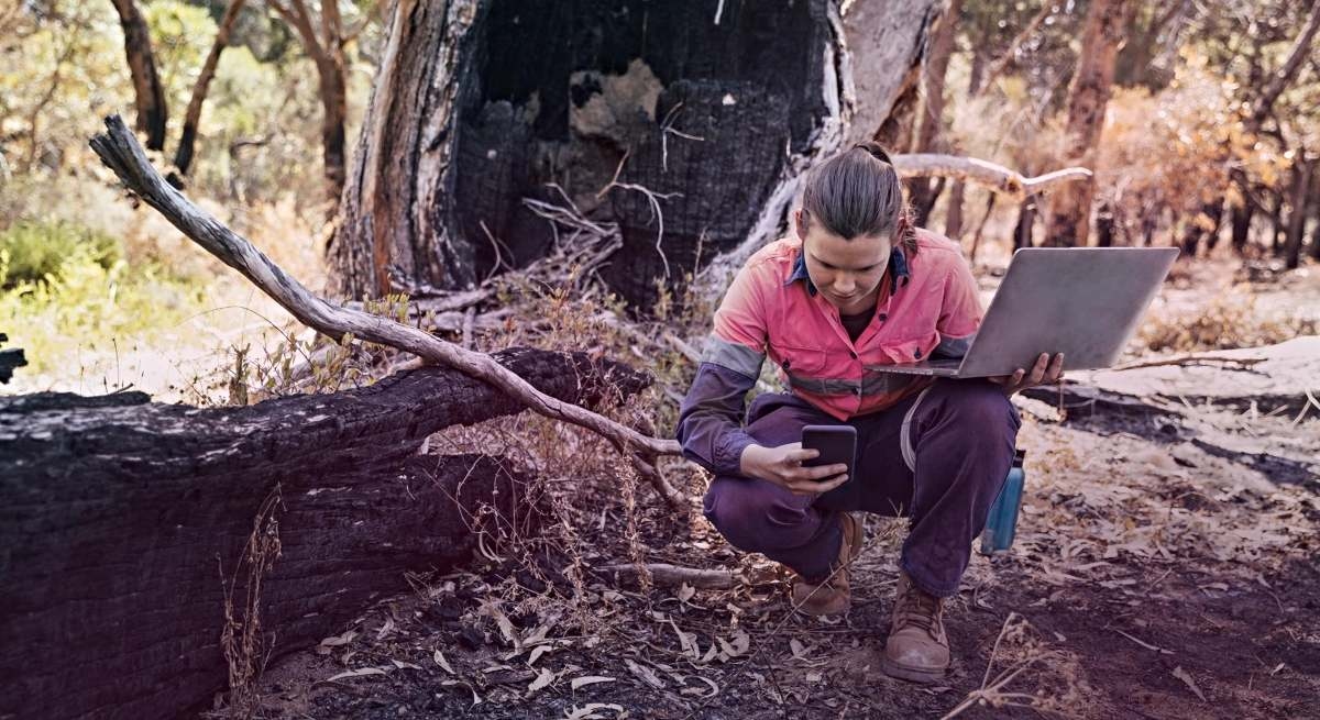 Indra and Minsait develop technology to anticipate fires: from AI to sensors