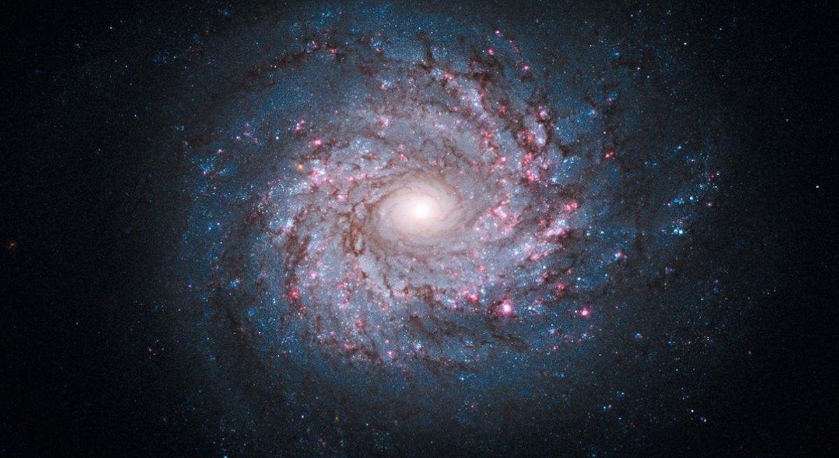 An unexpected twist: Spanish scientists propose a controversial new theory about the origin of the universe.