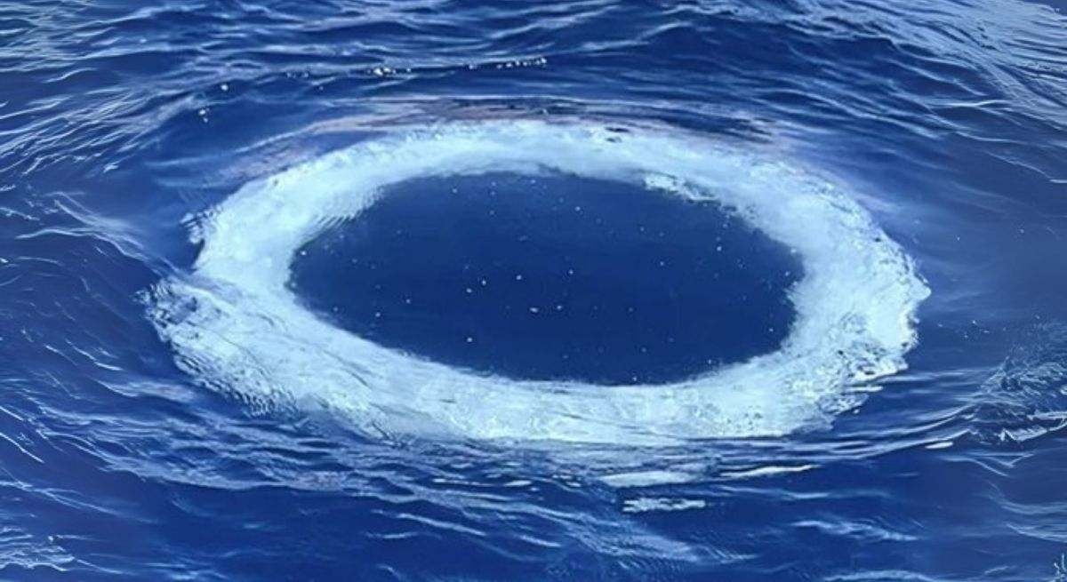 Dutzende Ringe tauchen im Meer auf und die Wissenschaft äußert sich: Es könnten Botschaften einer „anderen Intelligenz“ sein.
