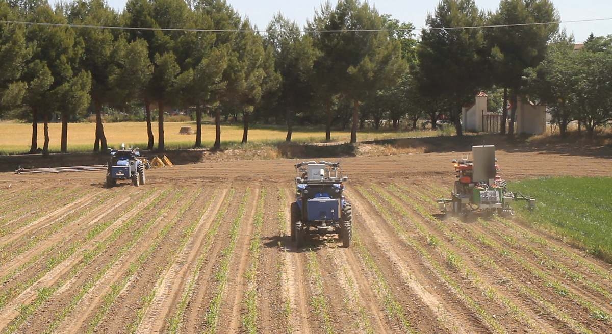 Castilla y León è ancora una volta la comunità con la più grande dimensione media delle aziende agricole, 75 ettari