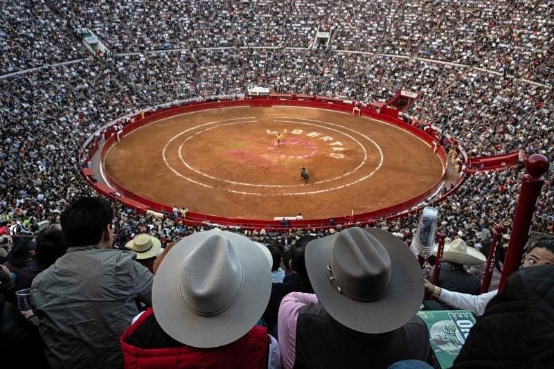 The Plaza México suspends bullfights due to new legislation: "The spectacle is unviable without violence."