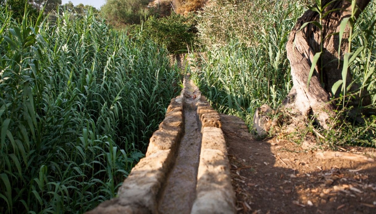 Jardín Kolymbethra en Agrigento: un rincón de paraíso