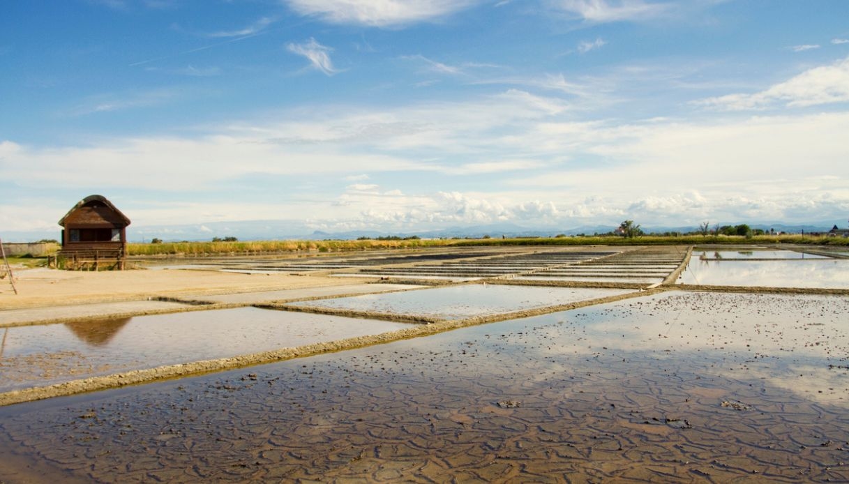 Salina di Cervia: donde el oro blanco se encuentra con la naturaleza y la memoria