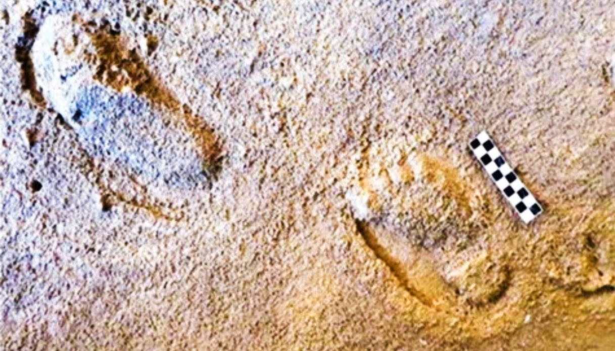 An archaeological discovery in Portugal rewrites the history of Neanderthals.