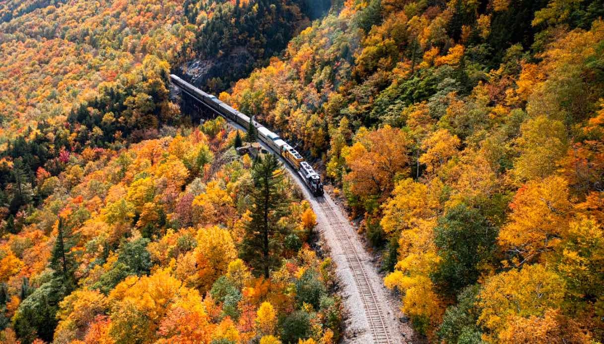 Foliage Trains: The Most Spectacular Journeys in Italy and Europe