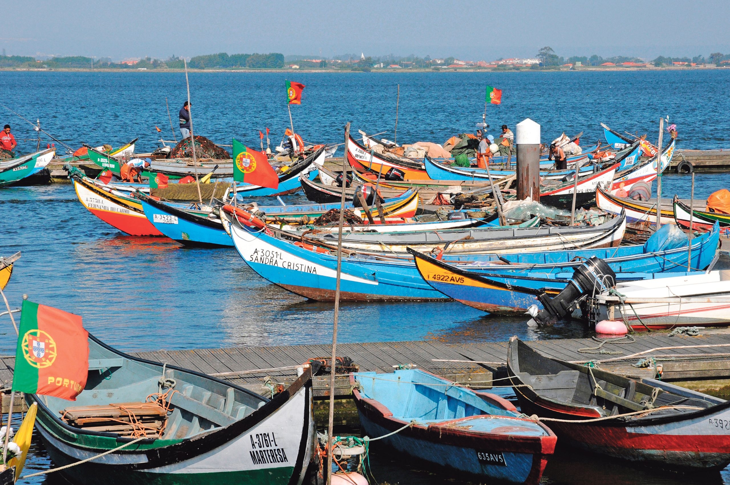 El Gobierno paga 621 mil euros a los pescadores