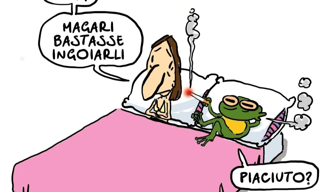 From toad to toad
