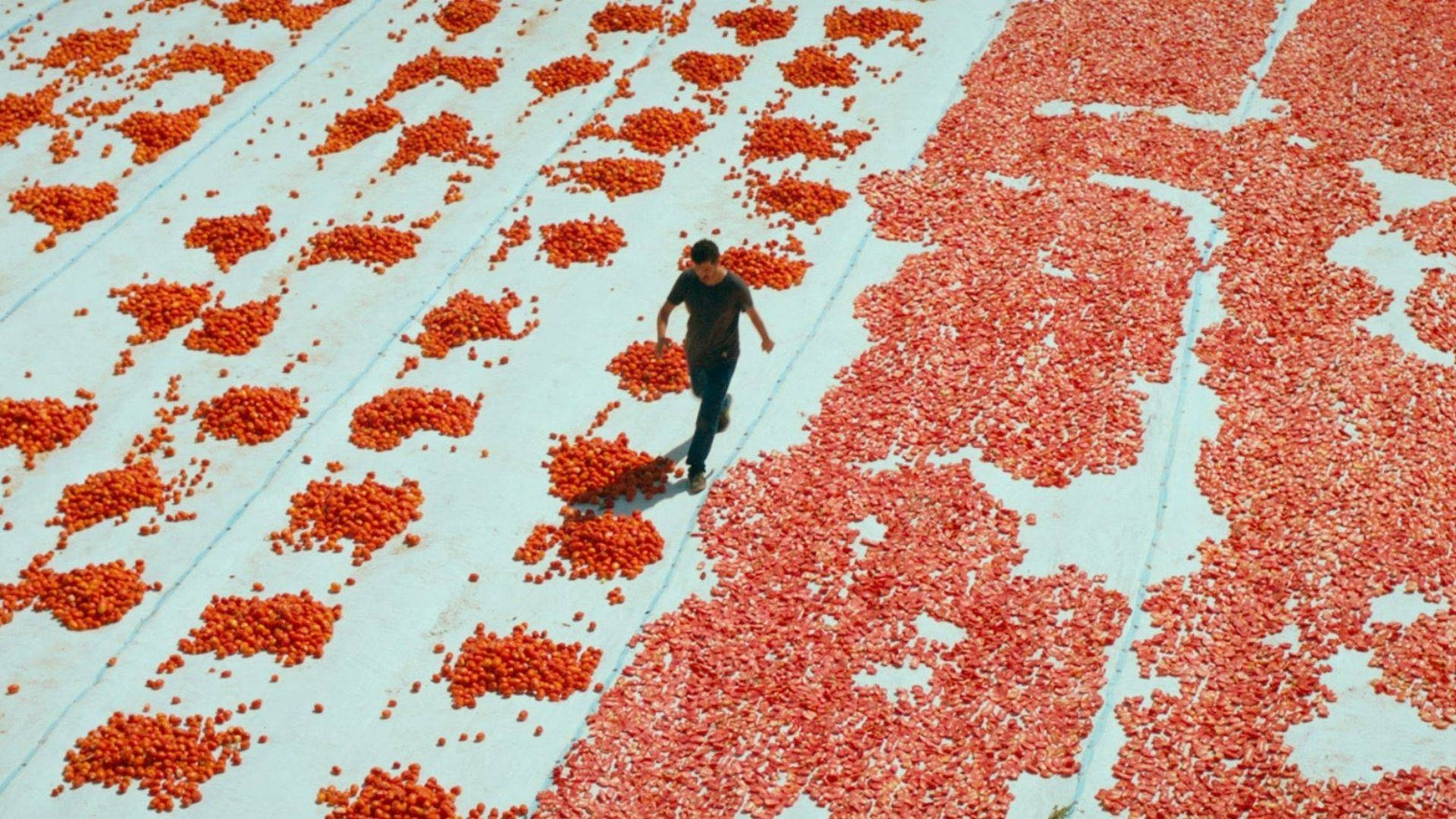 Türkiye's Oscar-nominated film has been announced