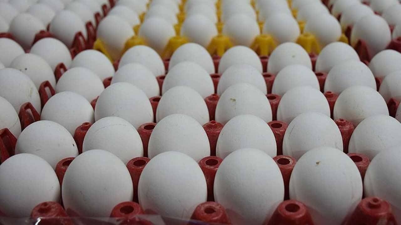 L'uovo è regredito