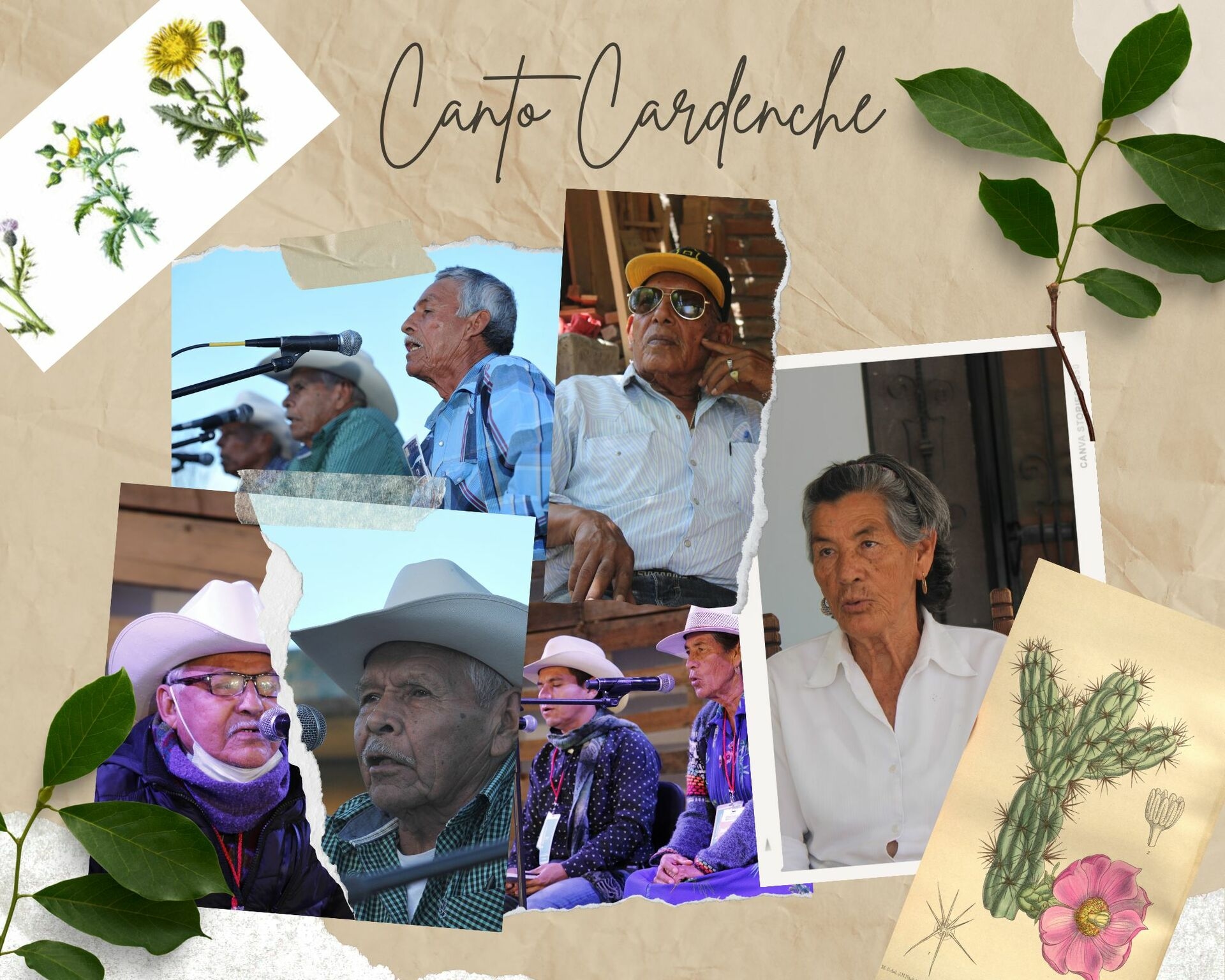 Cardenche Song: Voices of the soul that resist in the desert