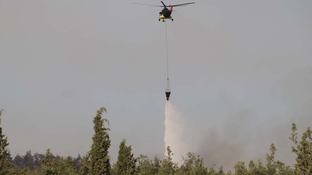 A causa do incêndio florestal em Denizli foi determinada!