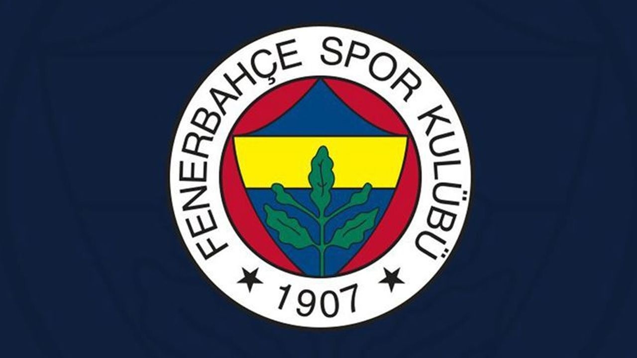 O craque do Fenerbahçe ficará afastado dos gramados por 3 semanas