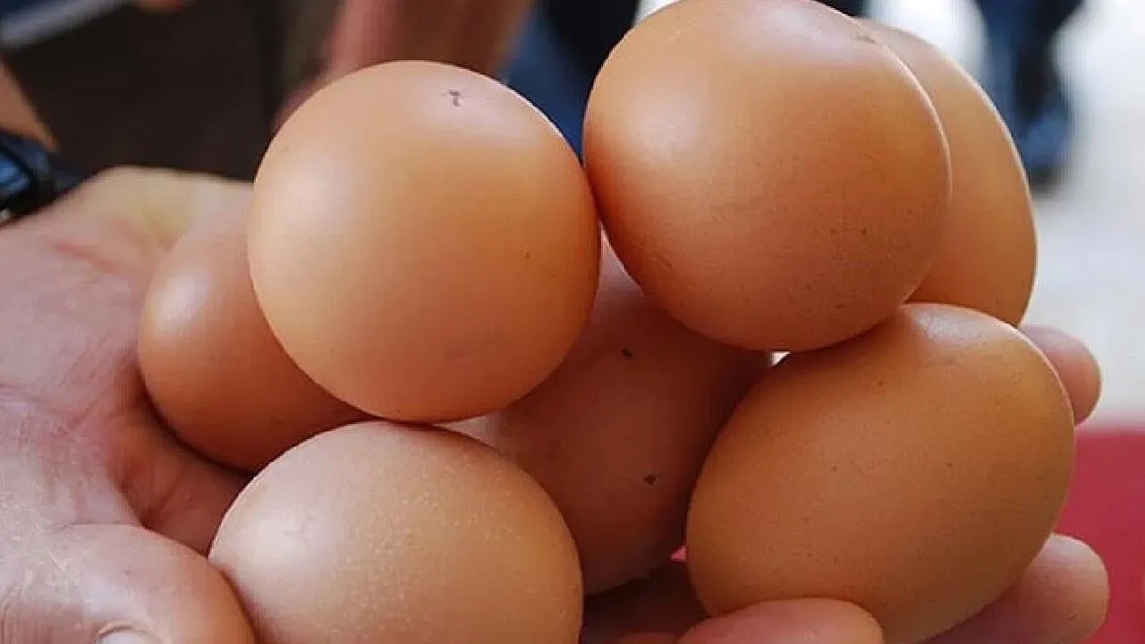 Are eggs bad for the heart? Critical statement from an expert