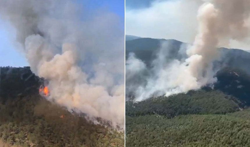 Después de los incendios forestales en el Egeo, Tracia y Mármara, ahora han comenzado en Anatolia Central.
