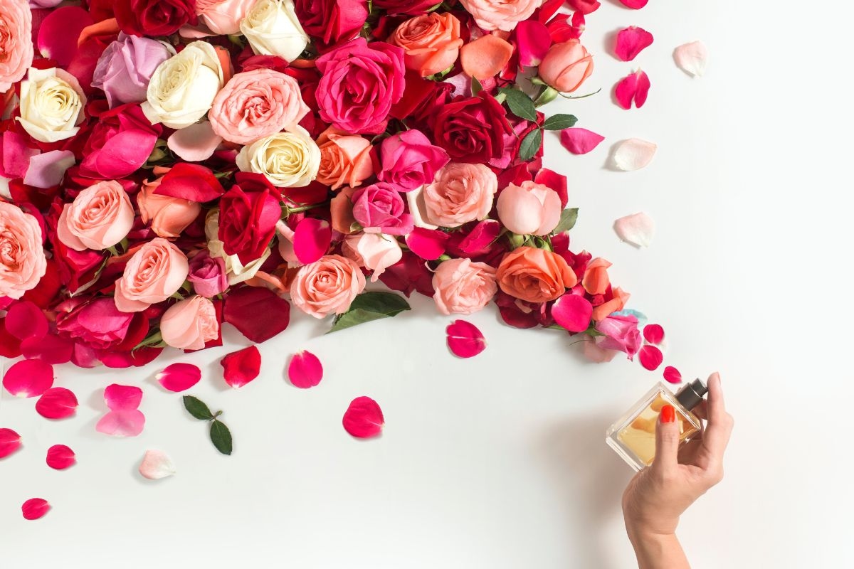 Lightness and vitality in the air: see the ideal perfumes for spring