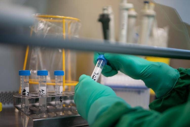 Botulinum: hoe het tegengif werkt: waar u het kunt vinden