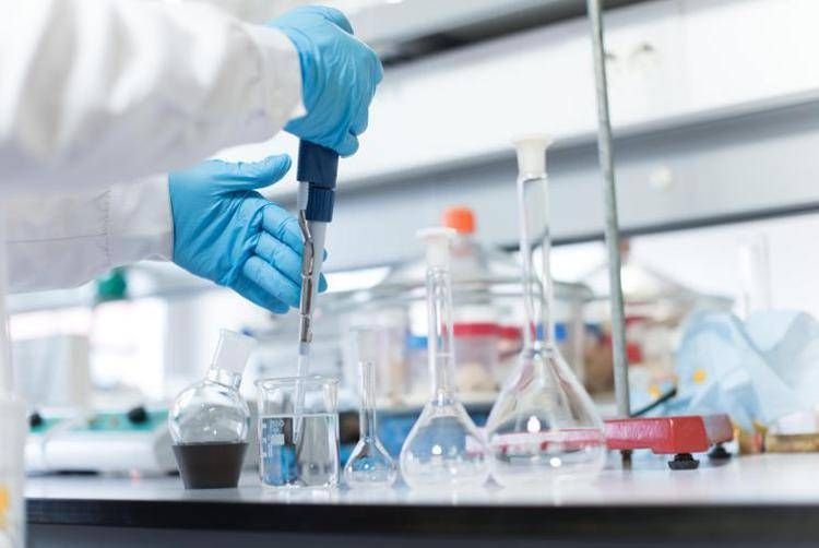 Bologna Hematology Leads the Way in Italy with 240 Patients Treated with Car-T