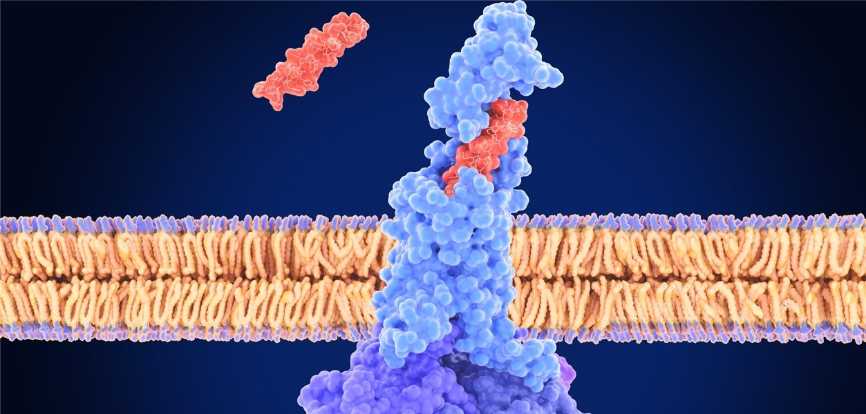Selon une étude, les incrétinomimétiques réduisent le risque de cancer chez les patients obèses.