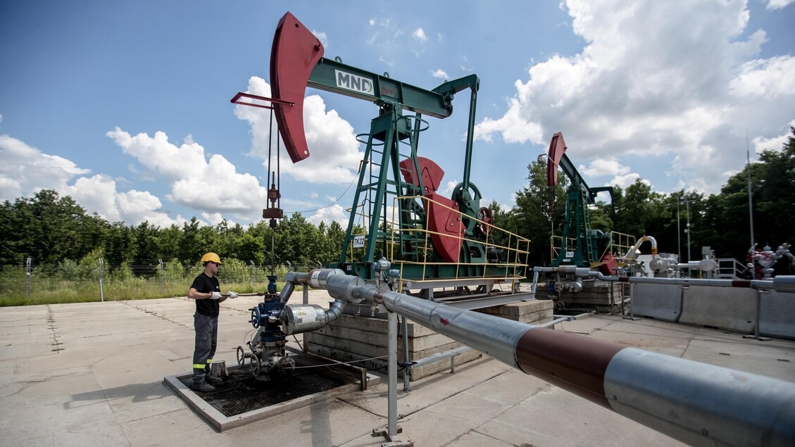 Oil price rises, Wti at 65.5 dollars