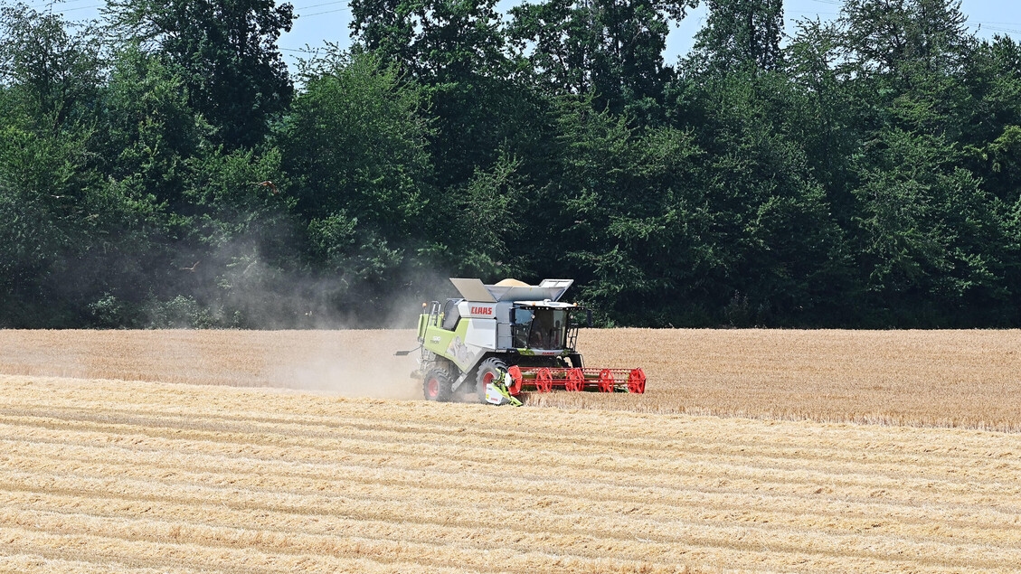 ISMEA: Agricultural added value up 1.4% in the quarter