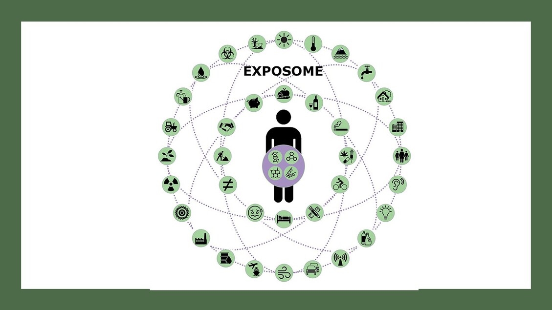 After the Human Genome Project comes the one on the Exposome