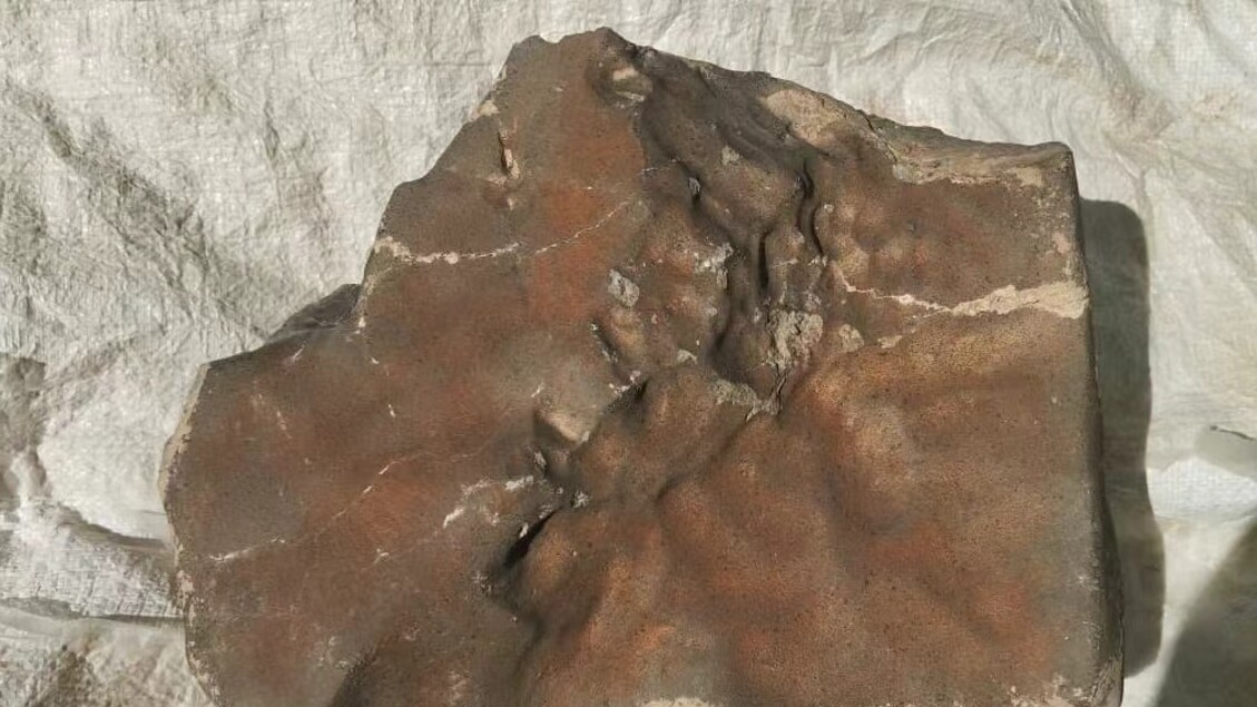 The largest Martian meteorite, weighing almost 25 kilos, is up for auction.