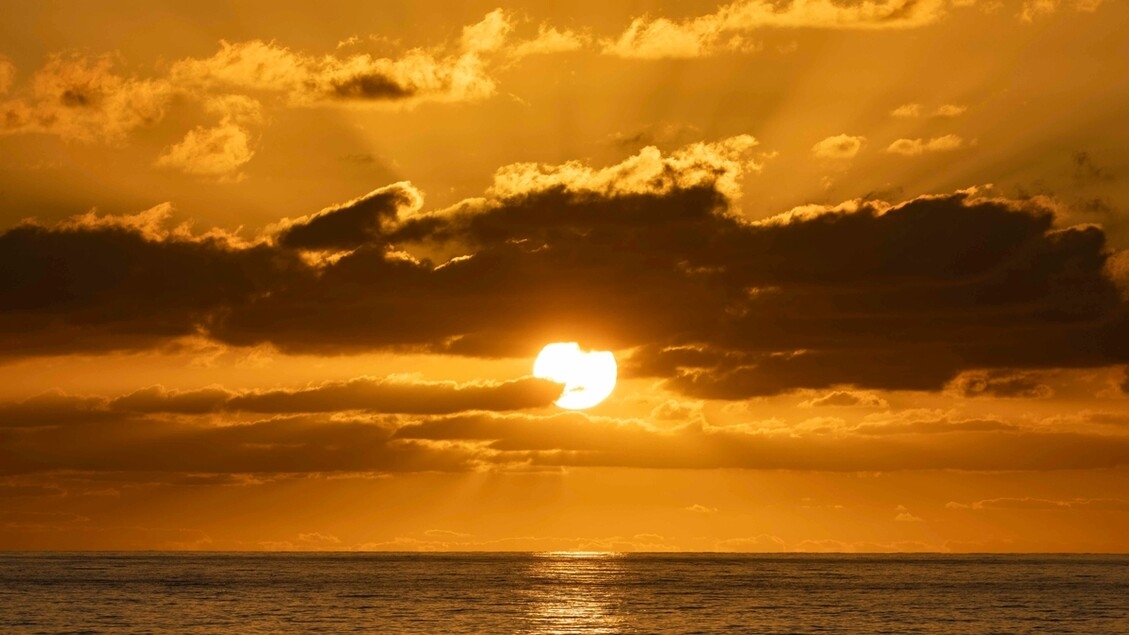 Origin of Mediterranean heatwaves discovered
