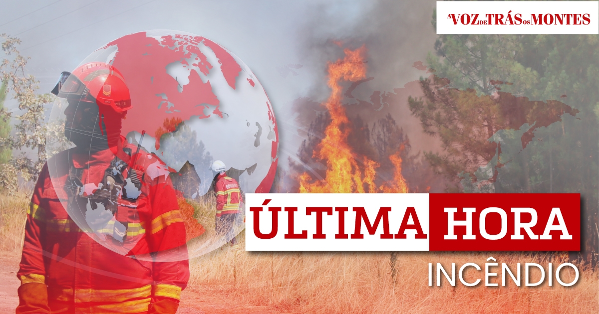 Sete meios aéreos e 153 operacionais combatem fogo em S. Cibrão