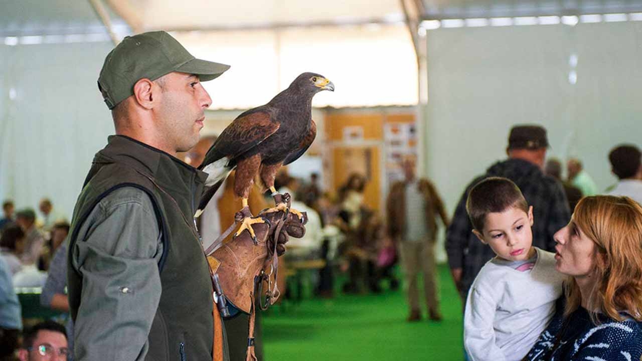 The 16th Mértola Hunting Fair returns in October to the Expo Multipurpose Pavilion