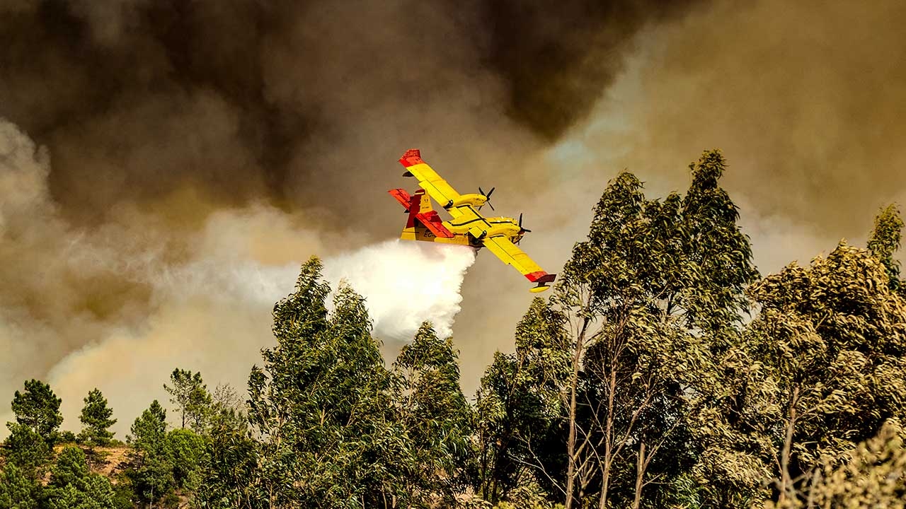 Incendio en Aljezur vuelve a crecer por proyecciones fuera del perímetro controlado