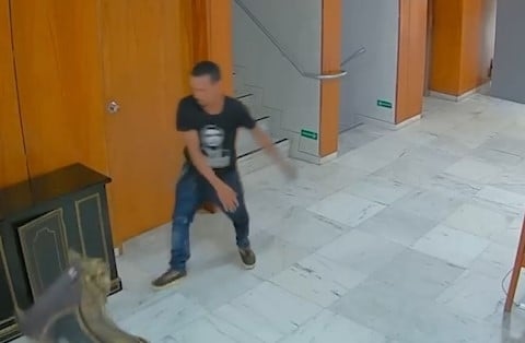 Il giudice afferma di aver sbagliato a rilasciare l'uomo che ha infranto lo storico cronometro dell'8 gennaio