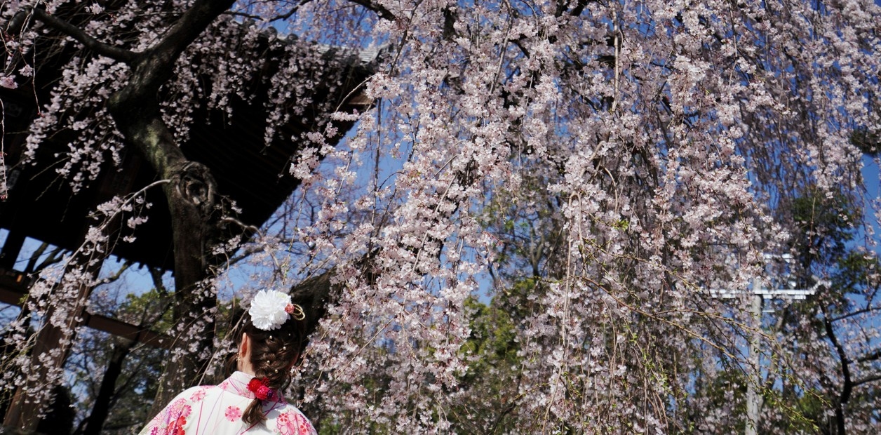 Japon edebiyatının cazibesini keşfetmek için bir harita
