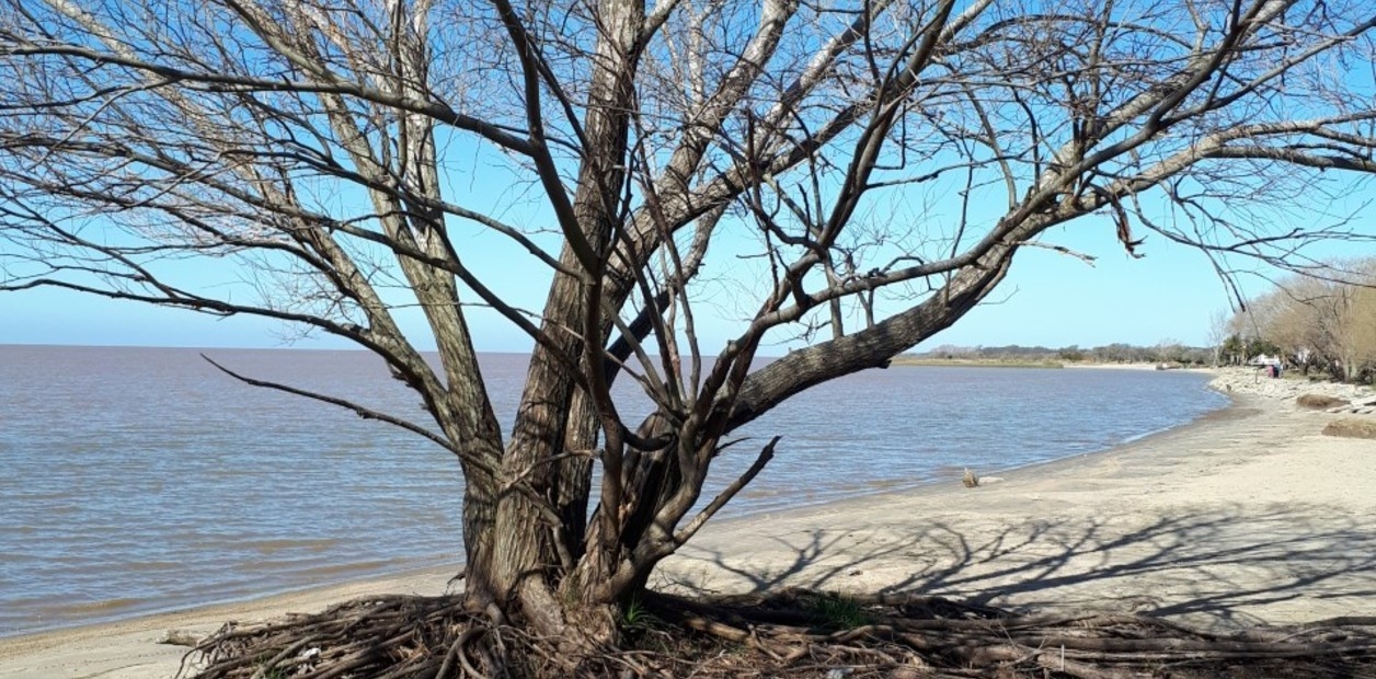 Uma escapadela para a paisagem natural do Parque Costeiro Sul e um circuito pouco conhecido na Rota 11
