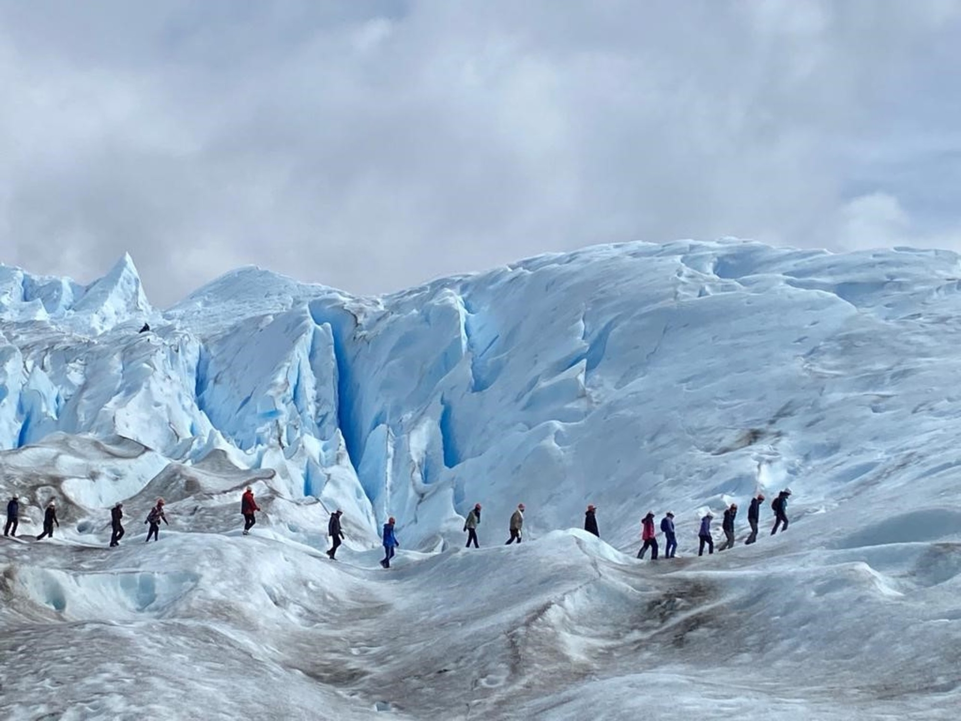From whale watching in Madryn to the Perito Moreno Glacier: how much do classic excursions in Argentina cost?