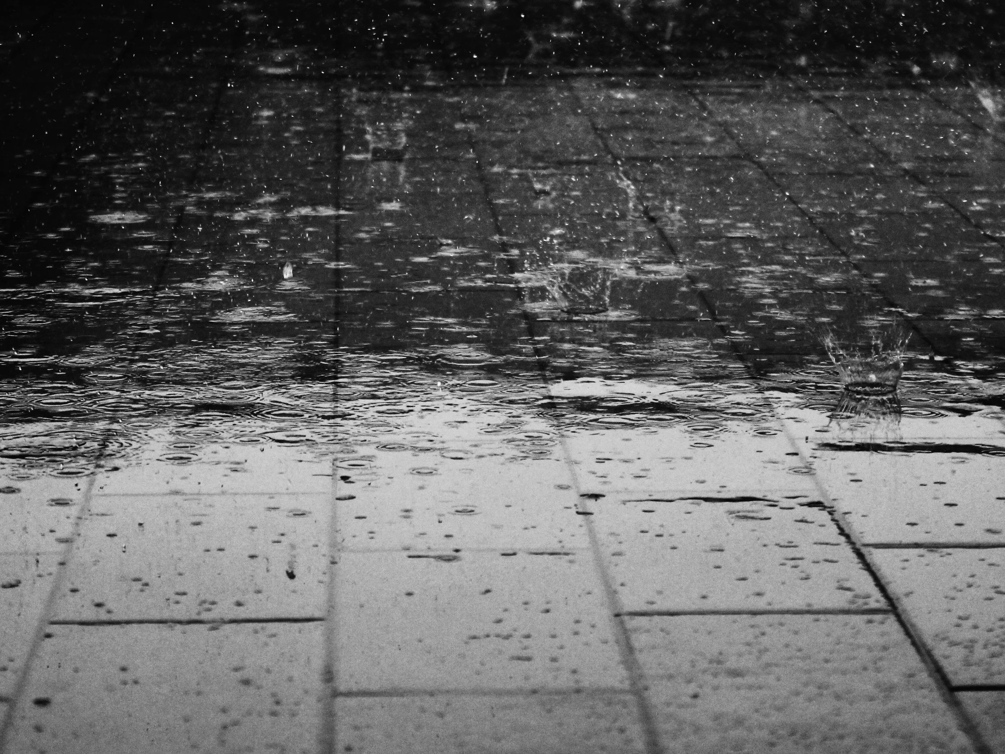 Het weer vandaag in San José, Costa Rica: de weersverwachting voor maandag 18 augustus 2025