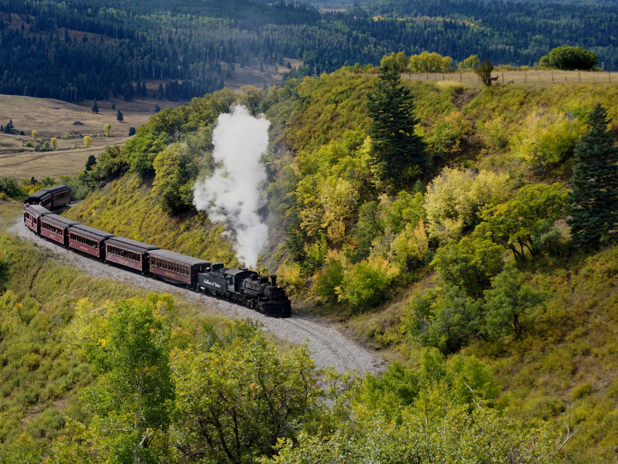 El que trepa montañas, el de vagones históricos y el ferrocarril a vapor más largo y alto: 6 viajes en tren espectaculares de Norteamérica