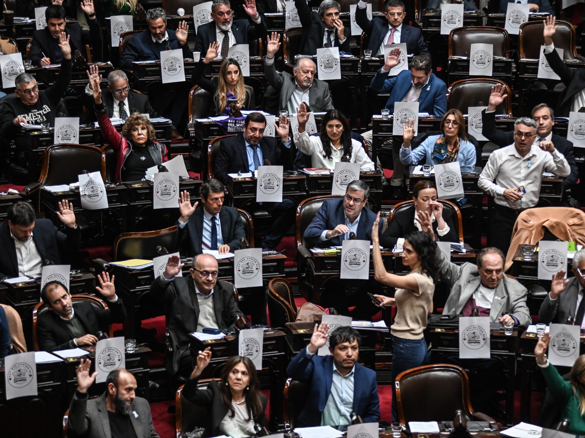Una dura battuta d'arresto per il governo: la Camera dei rappresentanti ha approvato l'aumento delle pensioni e ha minacciato di respingere l'eventuale veto di Milei.