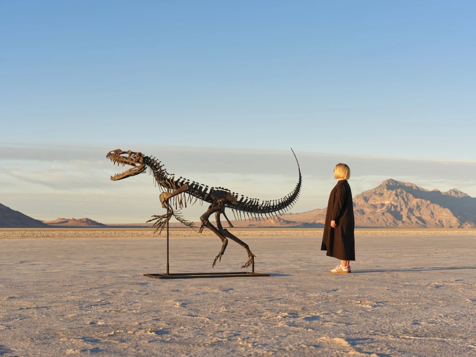 Sotheby's veilt skelet van Ceratosaurus: het enige bekende jonge exemplaar