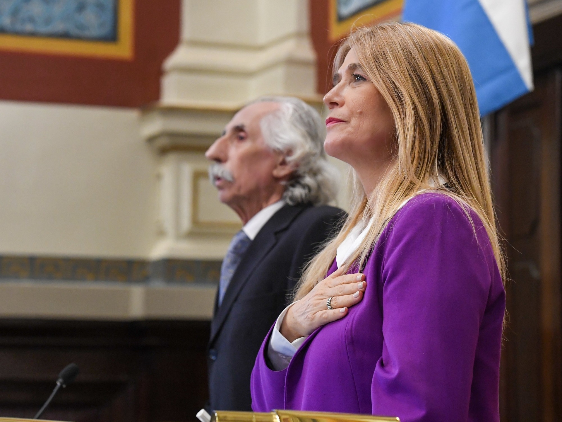 Strong criticism of indefinite reelection in the Buenos Aires Senate: "Bolt to their seats"
