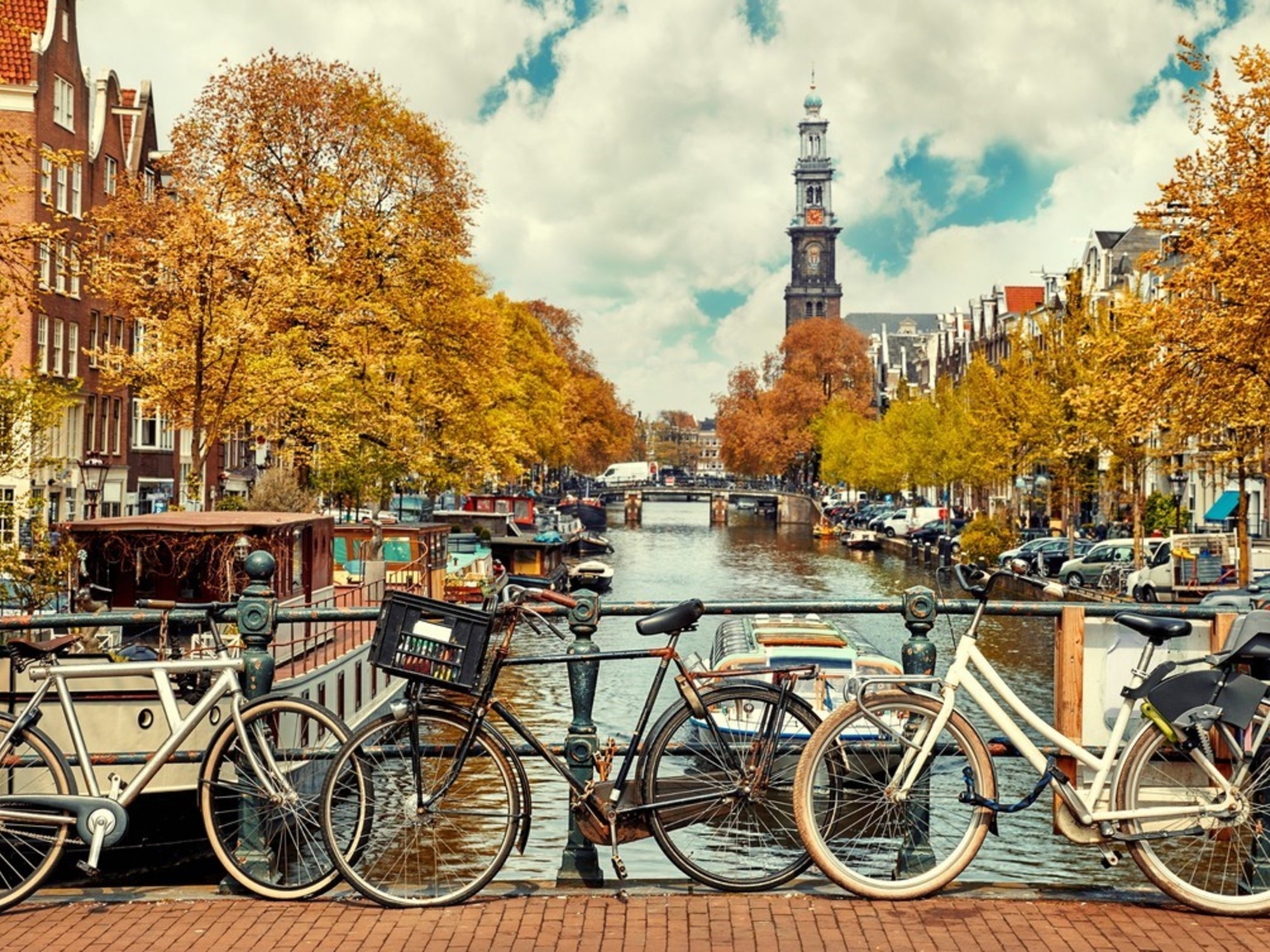 Amsterdammers klagen de stad aan omdat deze het massatoerisme niet bestrijdt.