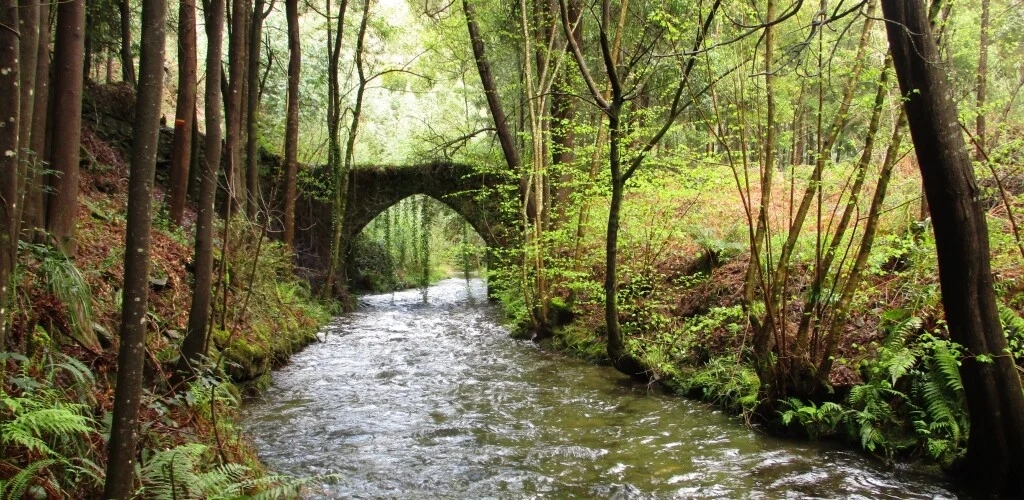 El Sendero de las Açudes es la nueva ruta de senderismo de Albergaria-a-Velha