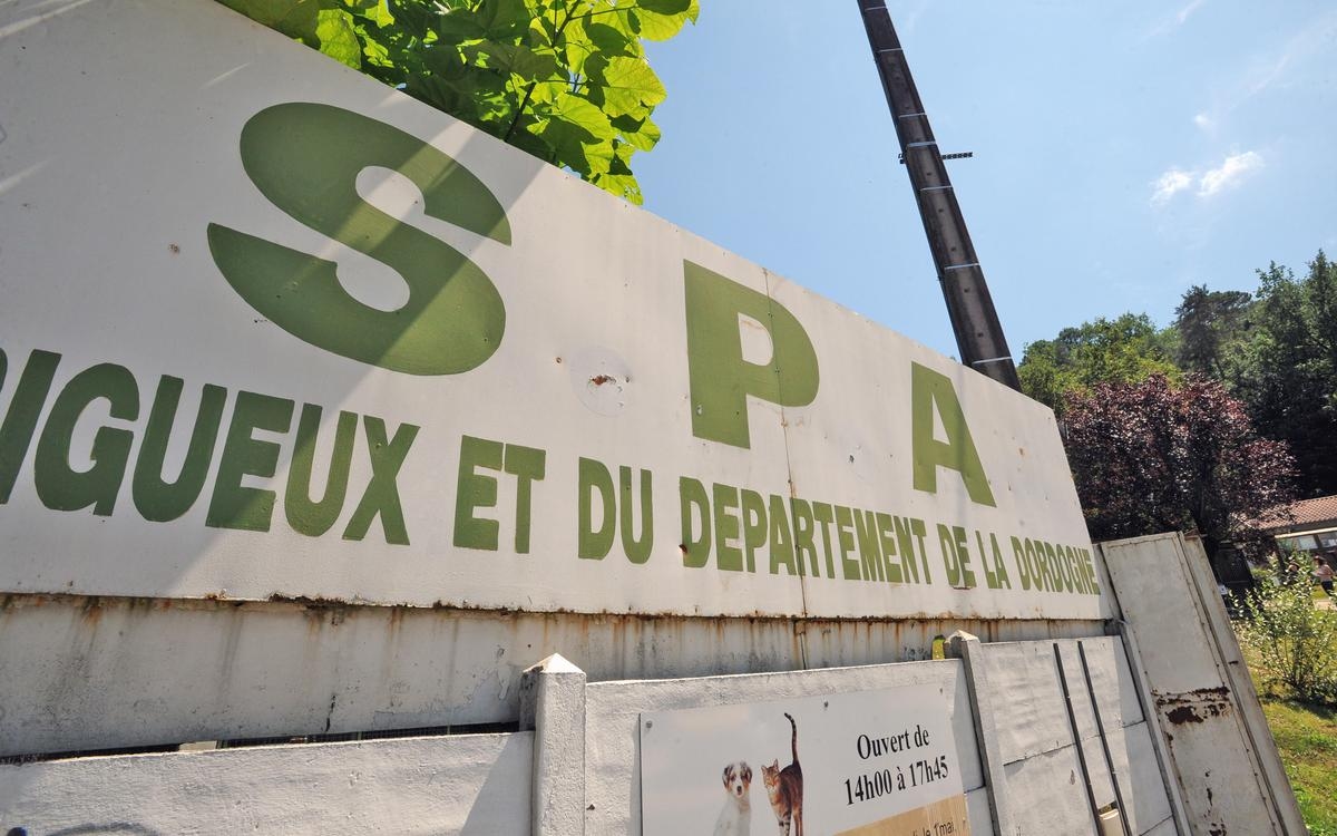 La SPA de Dordoña advierte contra el robo de identidad