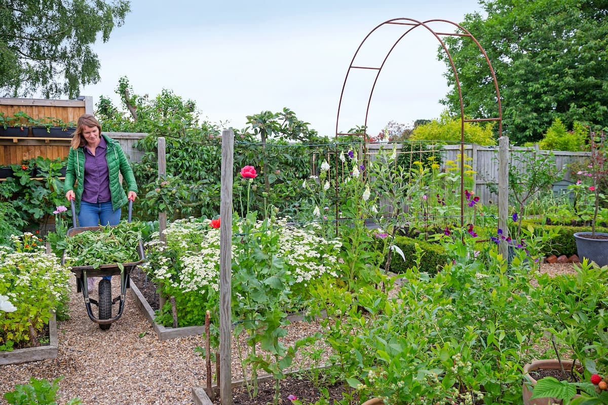 Starting a vegetable garden? Avoid these 9 pitfalls