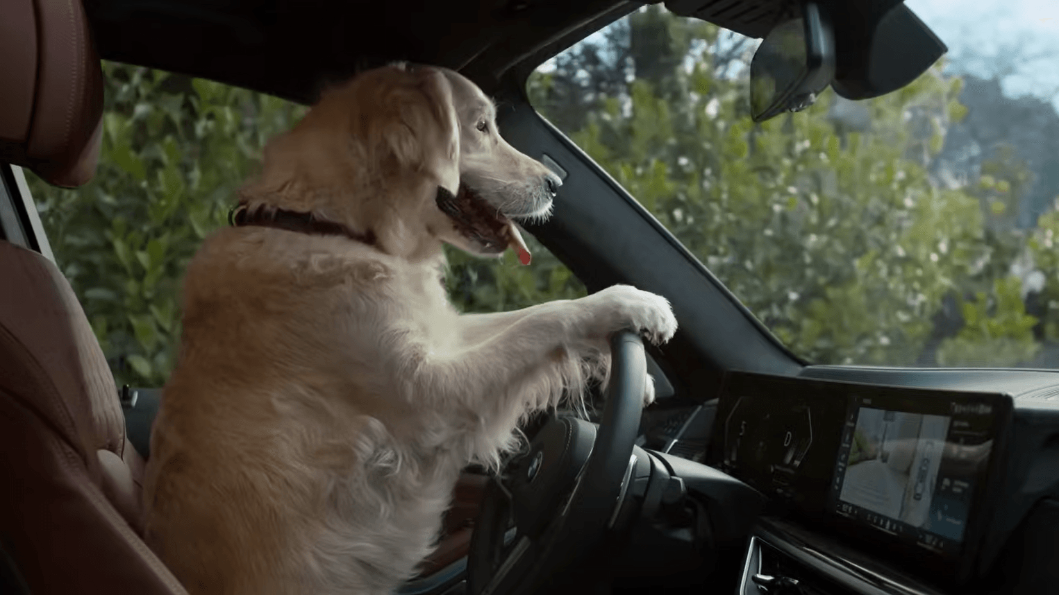 Campagna di innovazione: BMW e Jung von Matt lasciano che sia il cane a guidare